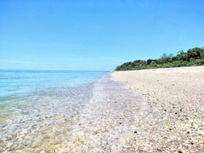Sun-loungers - A Natural Getaway (Southold)