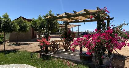 Beautiful house in the heart of valle de guadalupe
