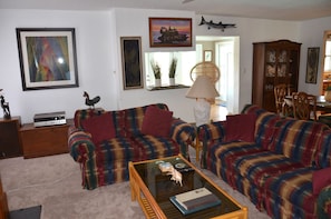 Smart TV, chimenea, libros y estéreo