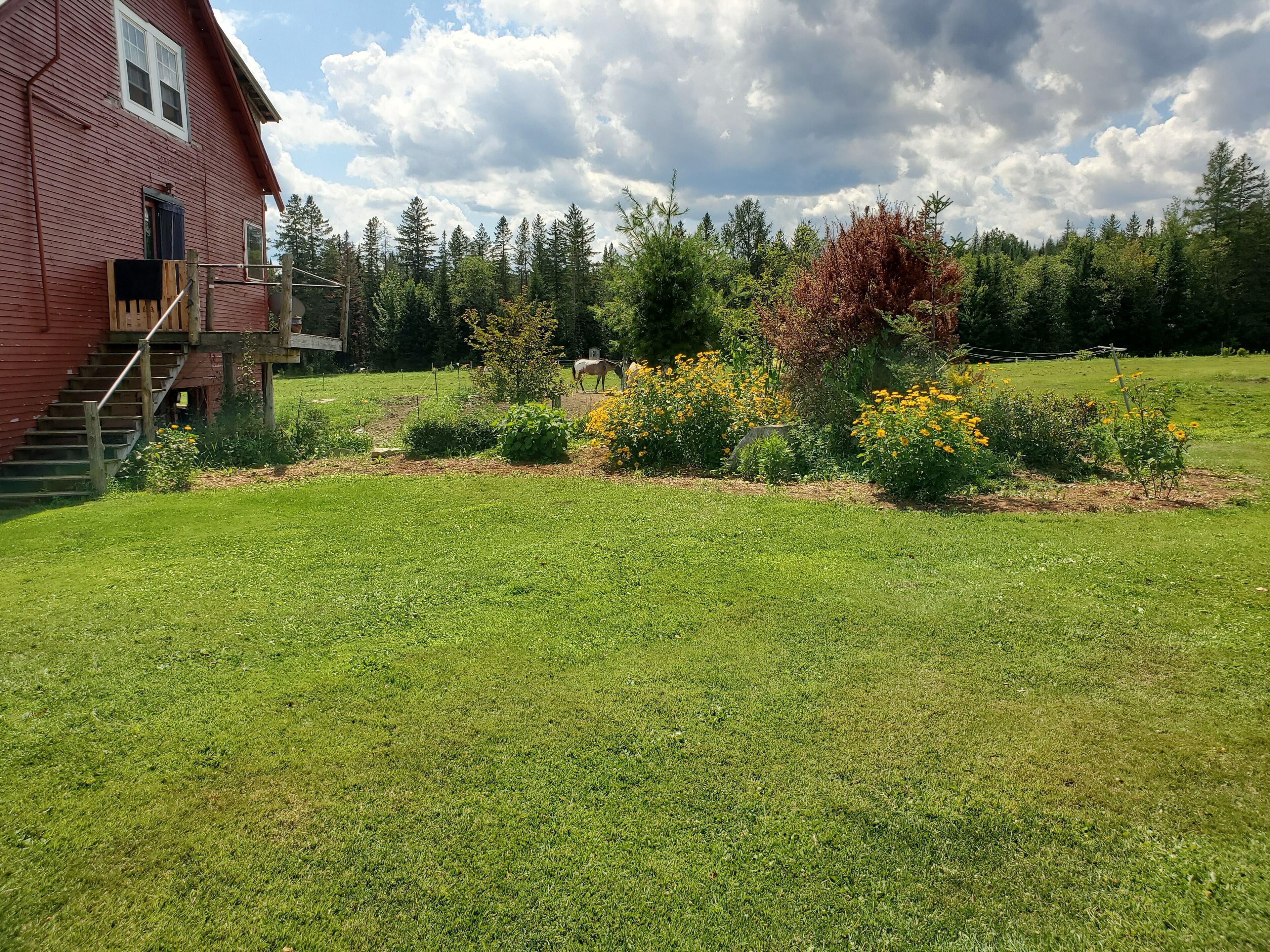 A red barn with a wooden staircase leading to a loft, surrounded by a well-maintained grassy field and a variety of flowering plants.