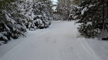 A snow-covered road flanked by trees.