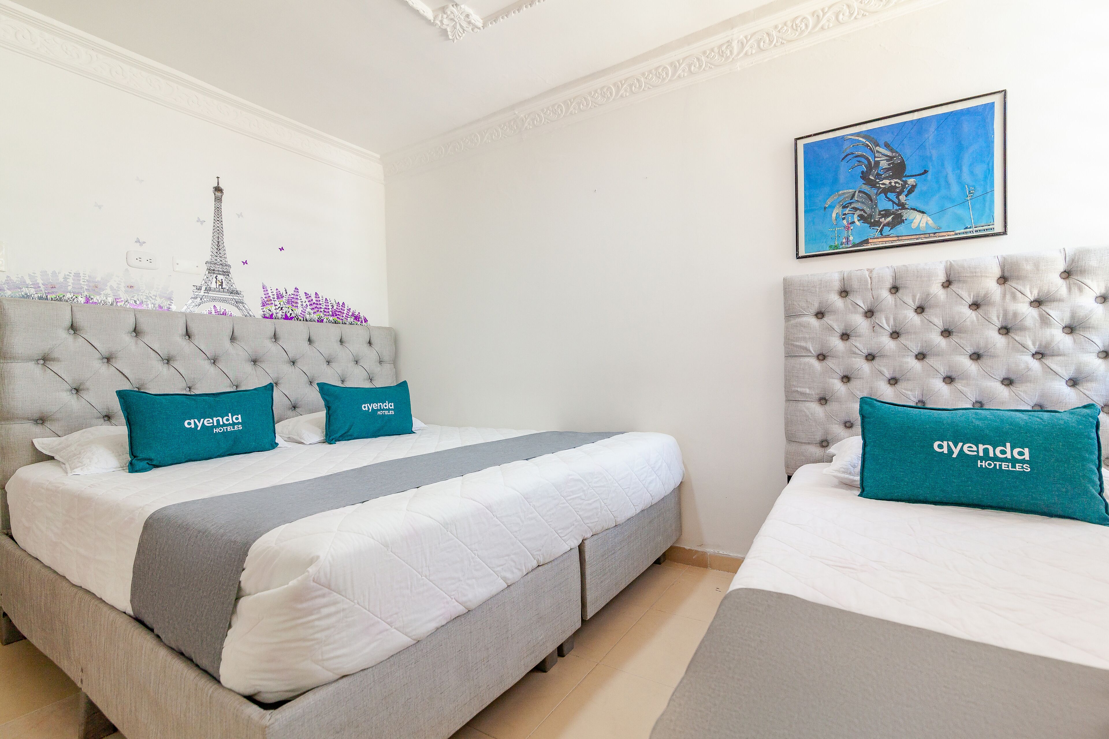 Ropa de cama hipoalergénica, wifi gratis y ropa de cama 