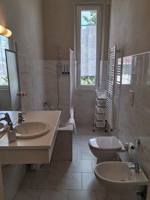 Combined shower/bathtub, hair dryer, bidet, towels