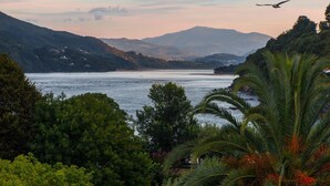 A coastal landscape with a body of water, hills, and dense vegetation. - Hotel Branka (Mundaka)