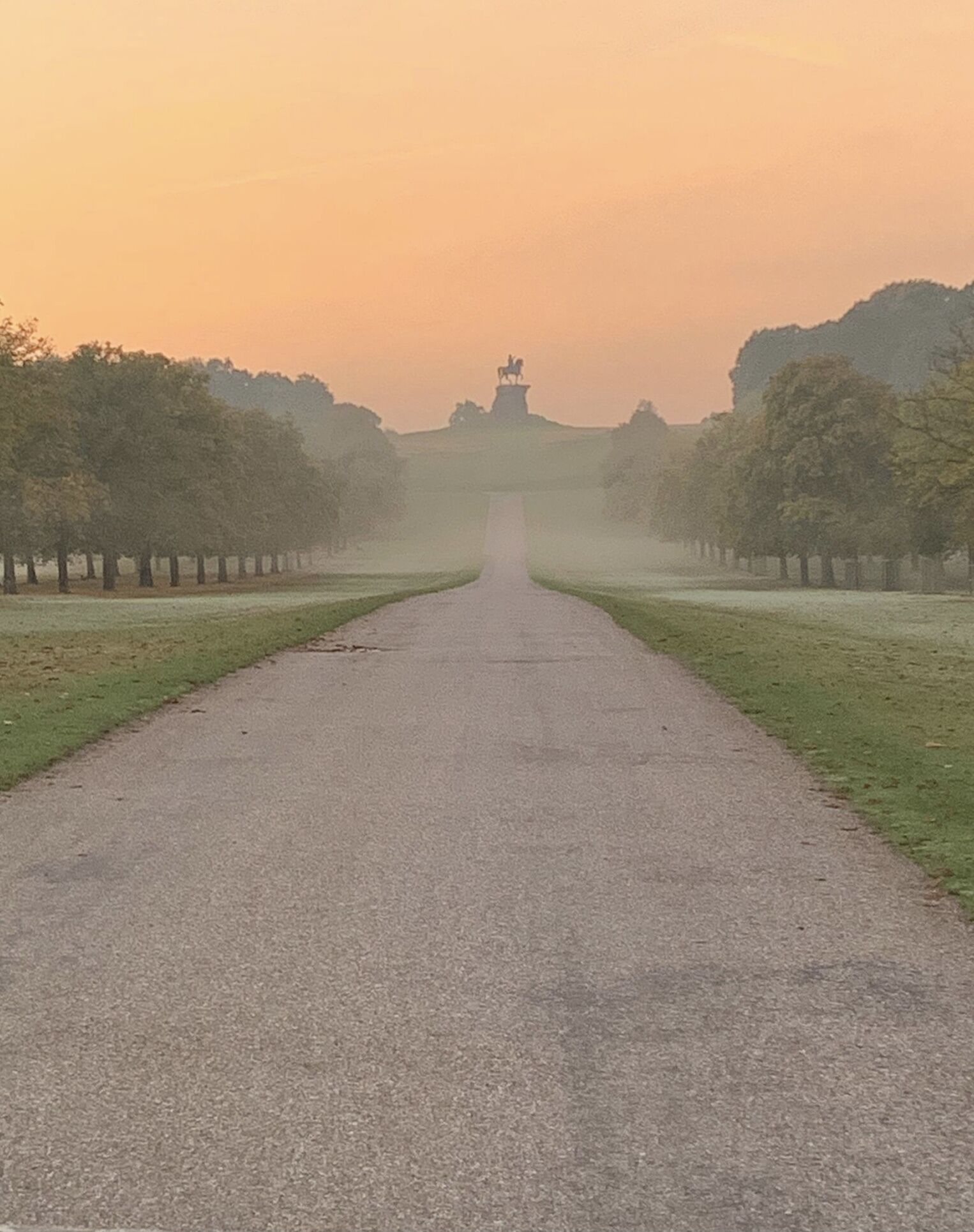 A straight pathway flanked by trees leading to a statue.