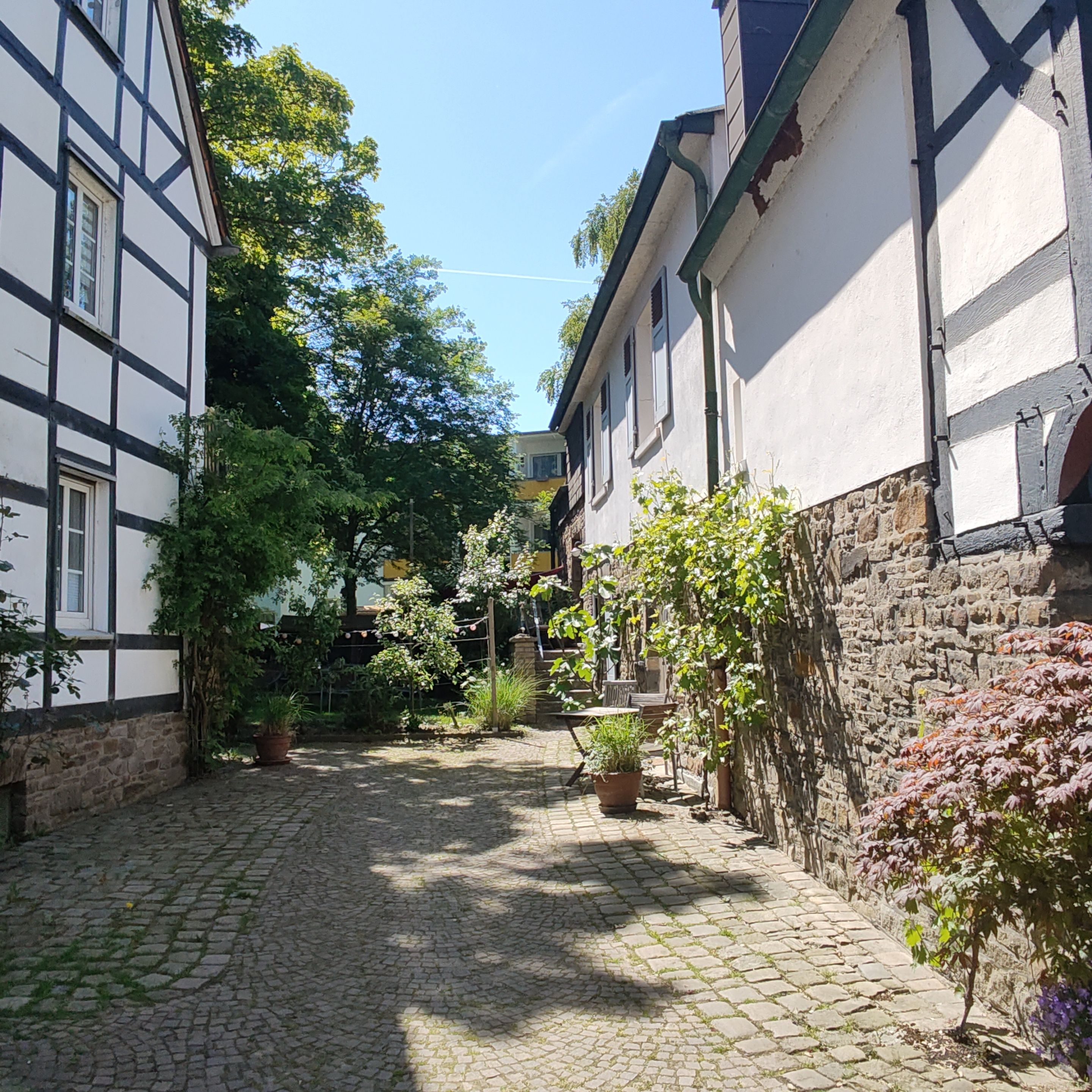 A cobblestone alley with traditional half-timbered buildings on either side.