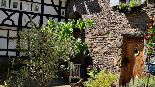 A courtyard with a tree, potted plants, a wooden chair, and a stone wall. - Fünf Giebel Eck in der Freiheit am Ruhrtalradweg (Wetter)