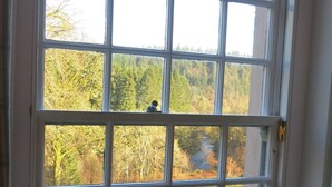 A window with a grid pattern, overlooking a forested area with a gravel path. - Castle Annex in Trossachs National Park (Aberfoyle)
