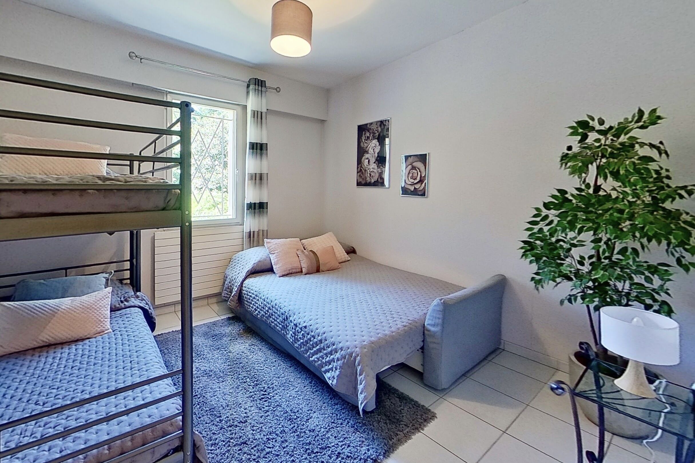 A dormitory room with bunk beds, a single bed, a small table with a lamp, and a potted plant.