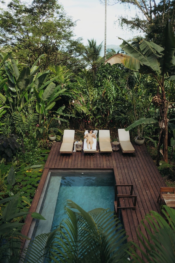 A wooden deck with a pool, surrounded by lush greenery and trees.