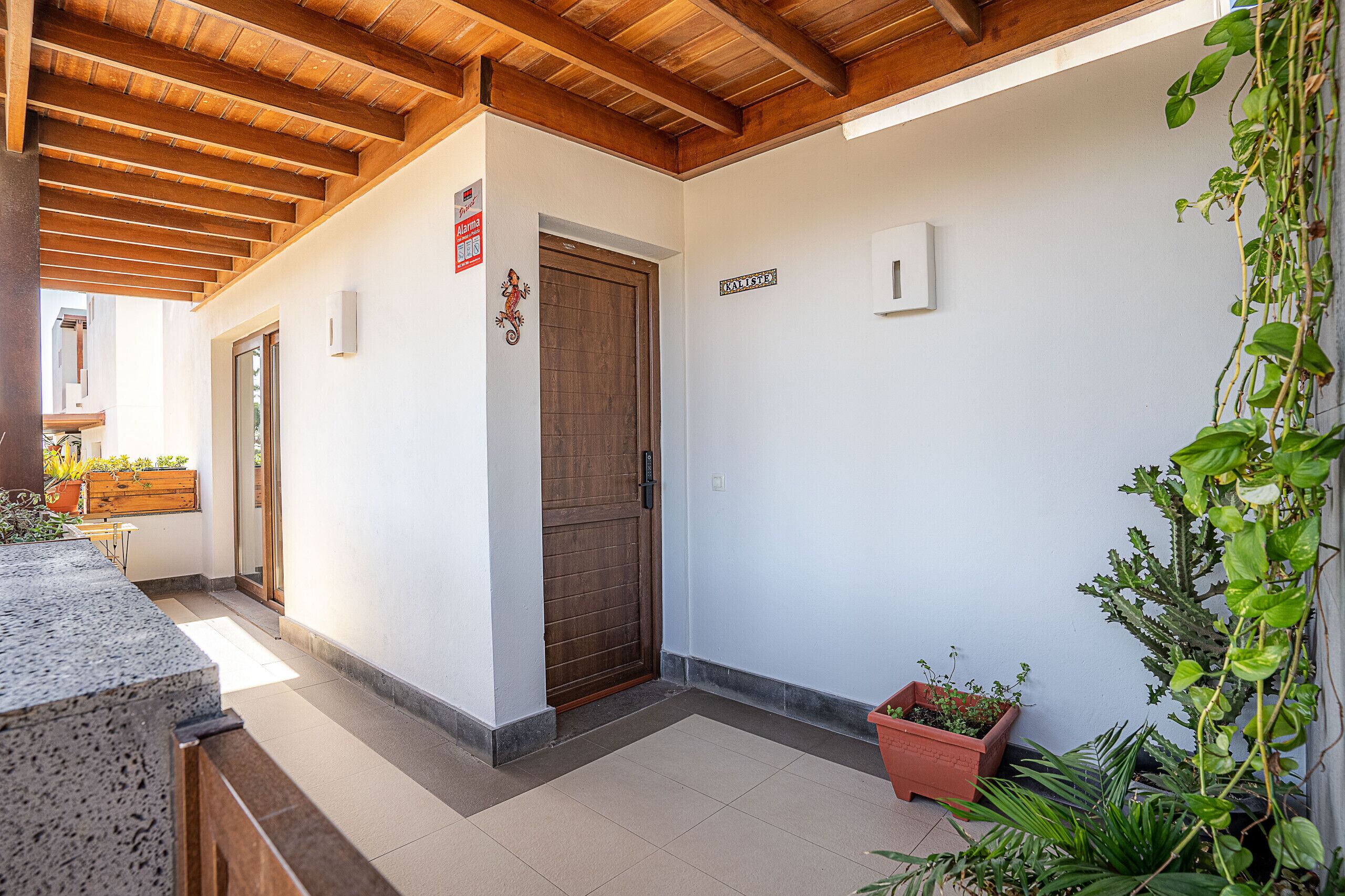 A covered outdoor area with a wooden ceiling, a wooden door, and potted plants.