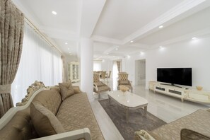 TV connectée, cheminée, livres