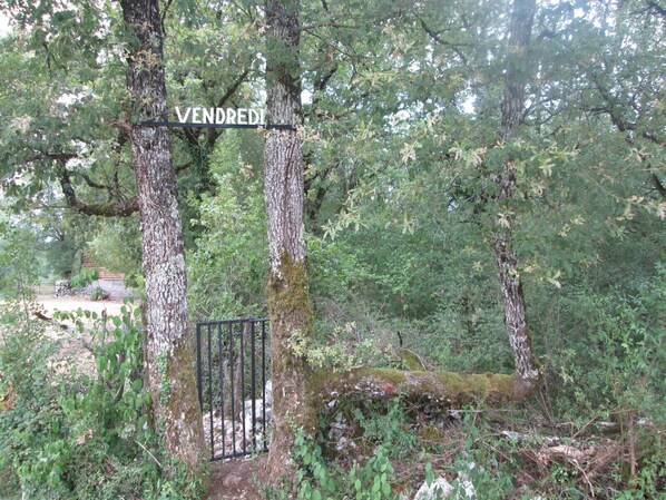 Property grounds - Group gîte for up to 24 people in the heart of the Causse du Quercy (GRAMAT)