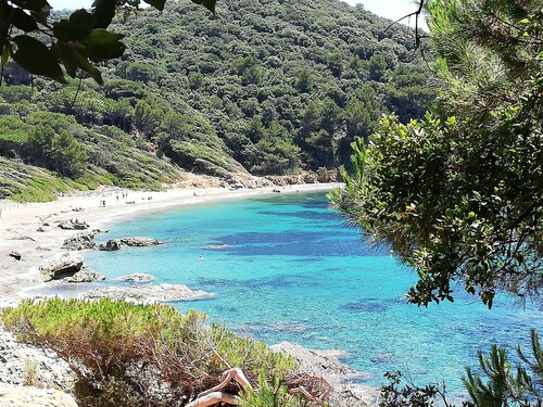 Air-conditioned apartment golfe de st Tropez residence with magnificent swimming pool