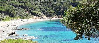 Air-conditioned apartment golfe de st Tropez residence with magnificent swimming pool