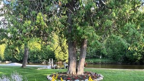 Un patio in legno con una panchina, circondato da un giardino fiorito di fiori gialli e verdeggiante vegetazione.