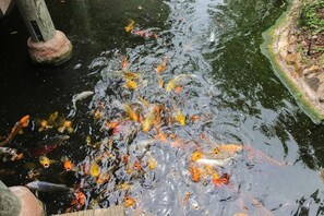 Property grounds - North Coast Village (Oceanside)