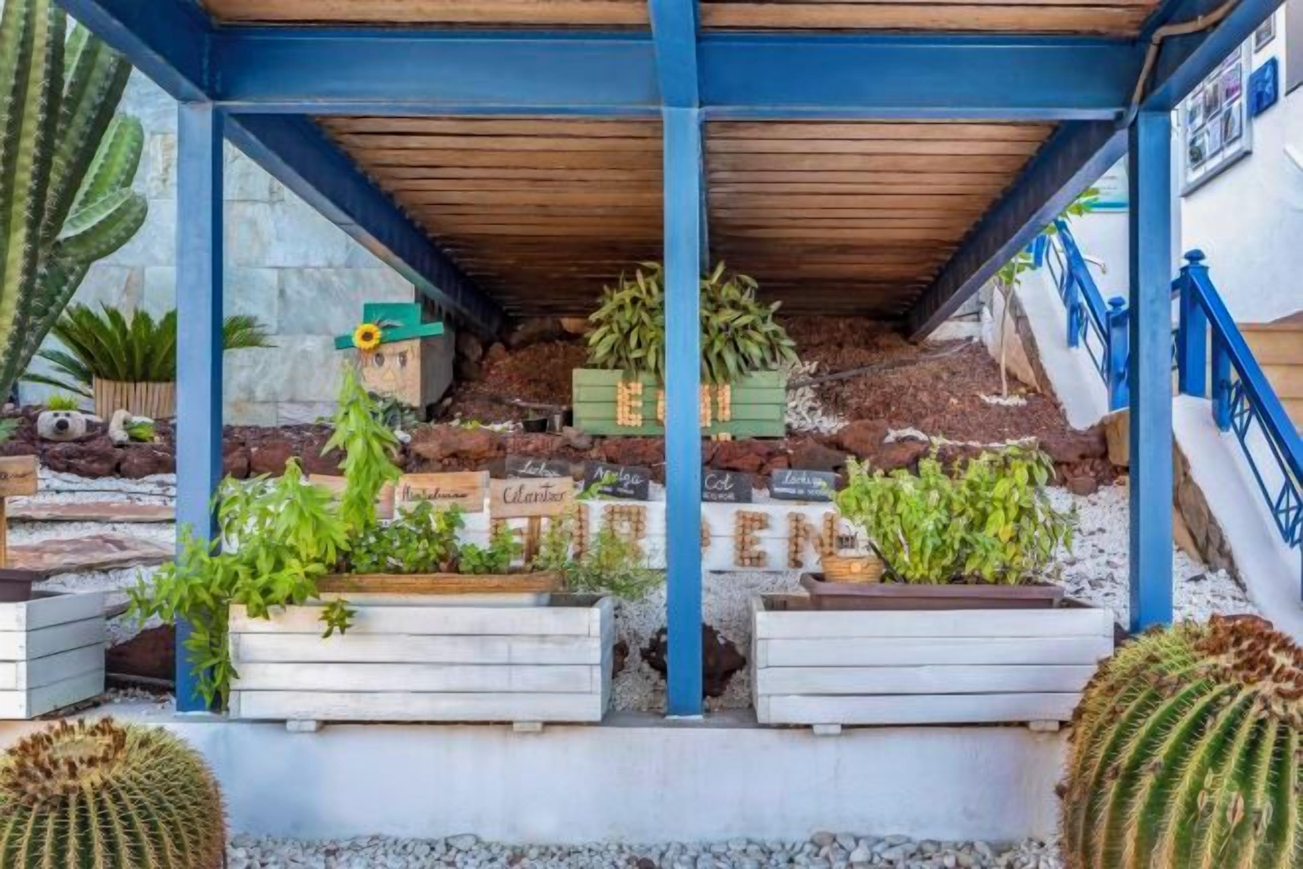 A covered outdoor area with planters containing various plants and cacti.