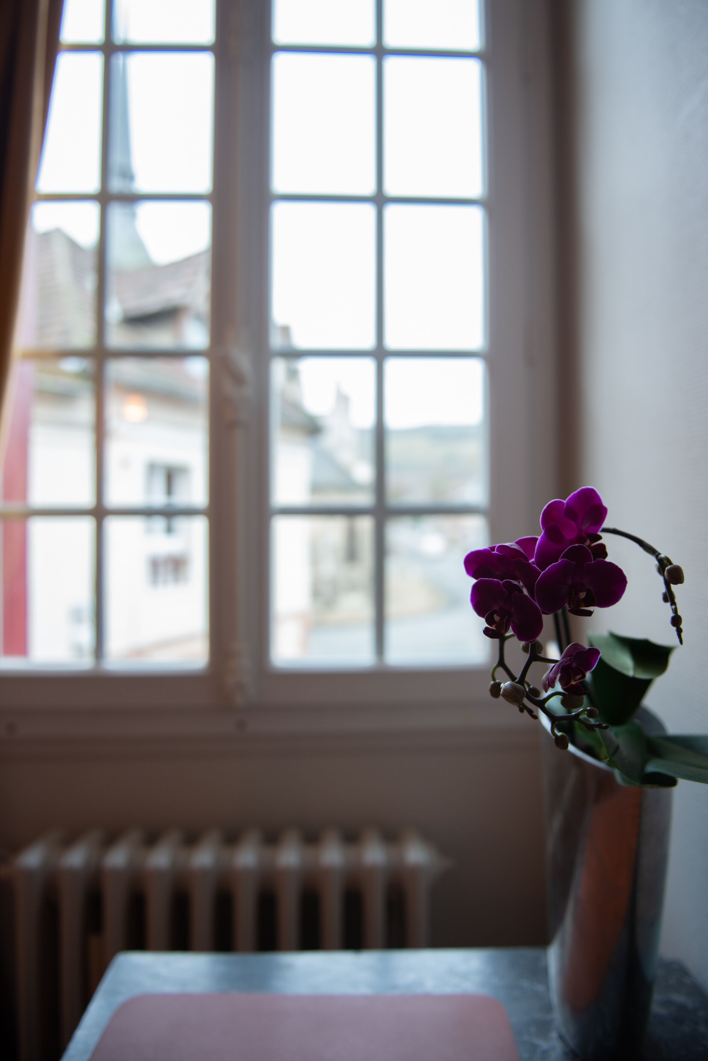 A window with a view of buildings, a radiator, and a vase with purple flowers on a table.