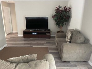 Smart TV, Netflix, streaming services