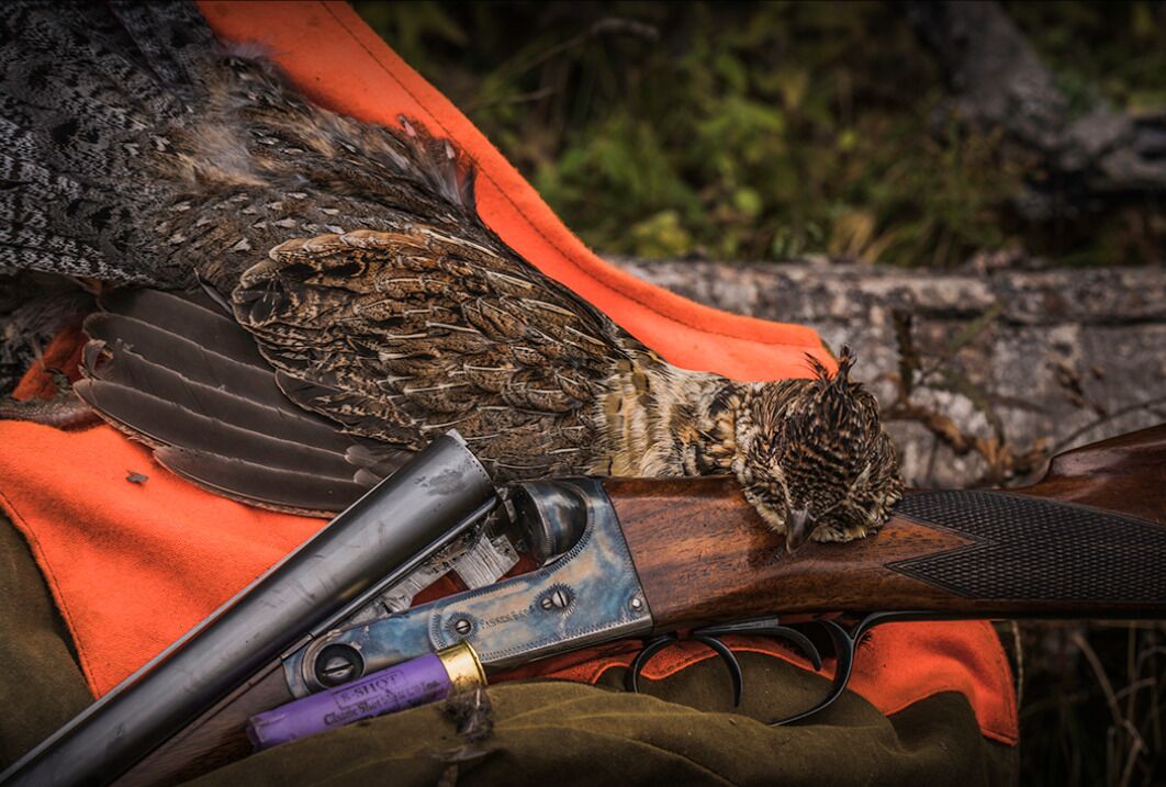 Un oiseau était perché sur un fusil muni d’une bandoulière en cuir et d’un étui.