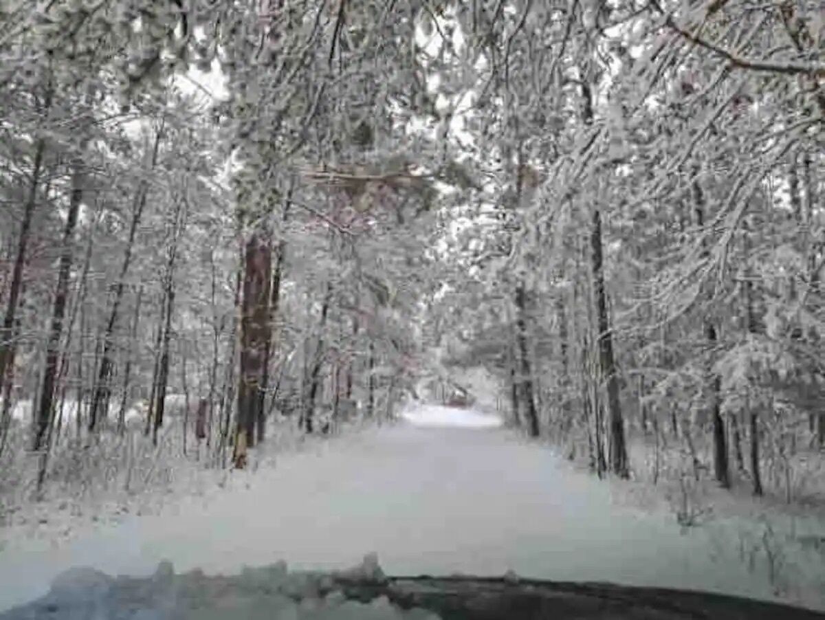 Un sentier forestier recouvert de neige.