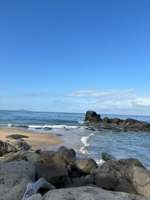 Beach - Playa Sayulita (Sayulita)