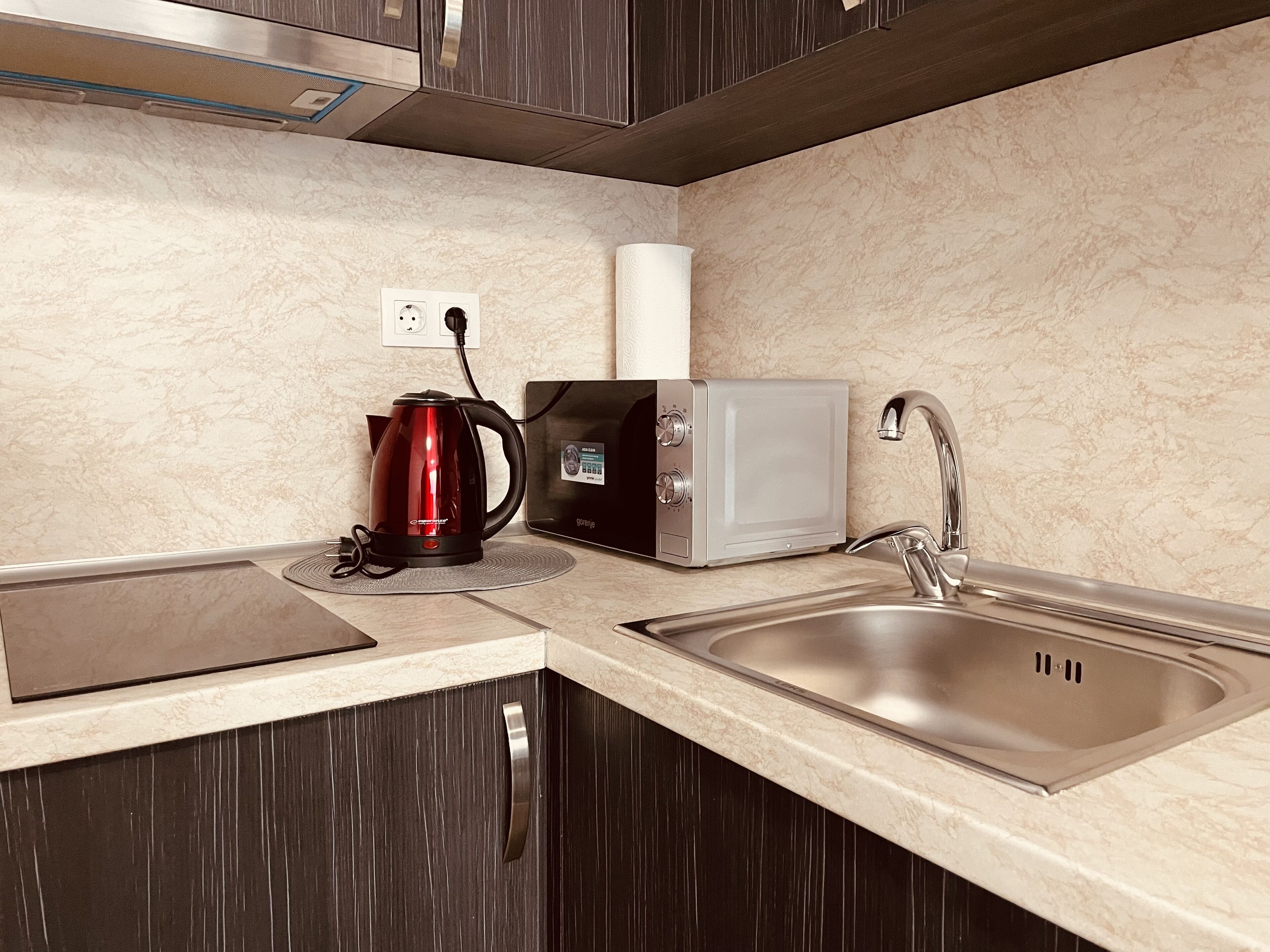 Căn hộ Cao cấp, 1 phòng ngủ, hút thuốc, quang cảnh núi | Bếp riêng | Tủ lạnh, lò vi sóng, bếp nấu, dụng cụ nấu nướng/bát dĩa/dao nĩa 