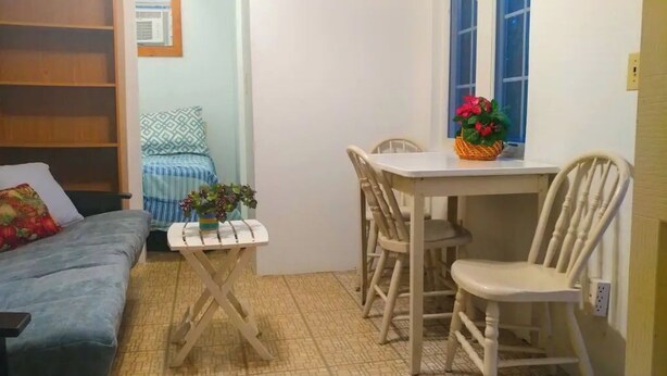 Ett kompakt vardagsrum med en soffa, ett litet bord med en växt, ett matbord med stolar och ett fönster med en blomkruka.