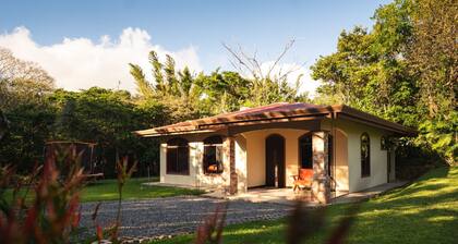 Macadamia - Monteverde