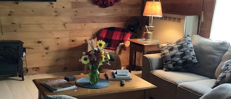 Smart-TV, Kamin