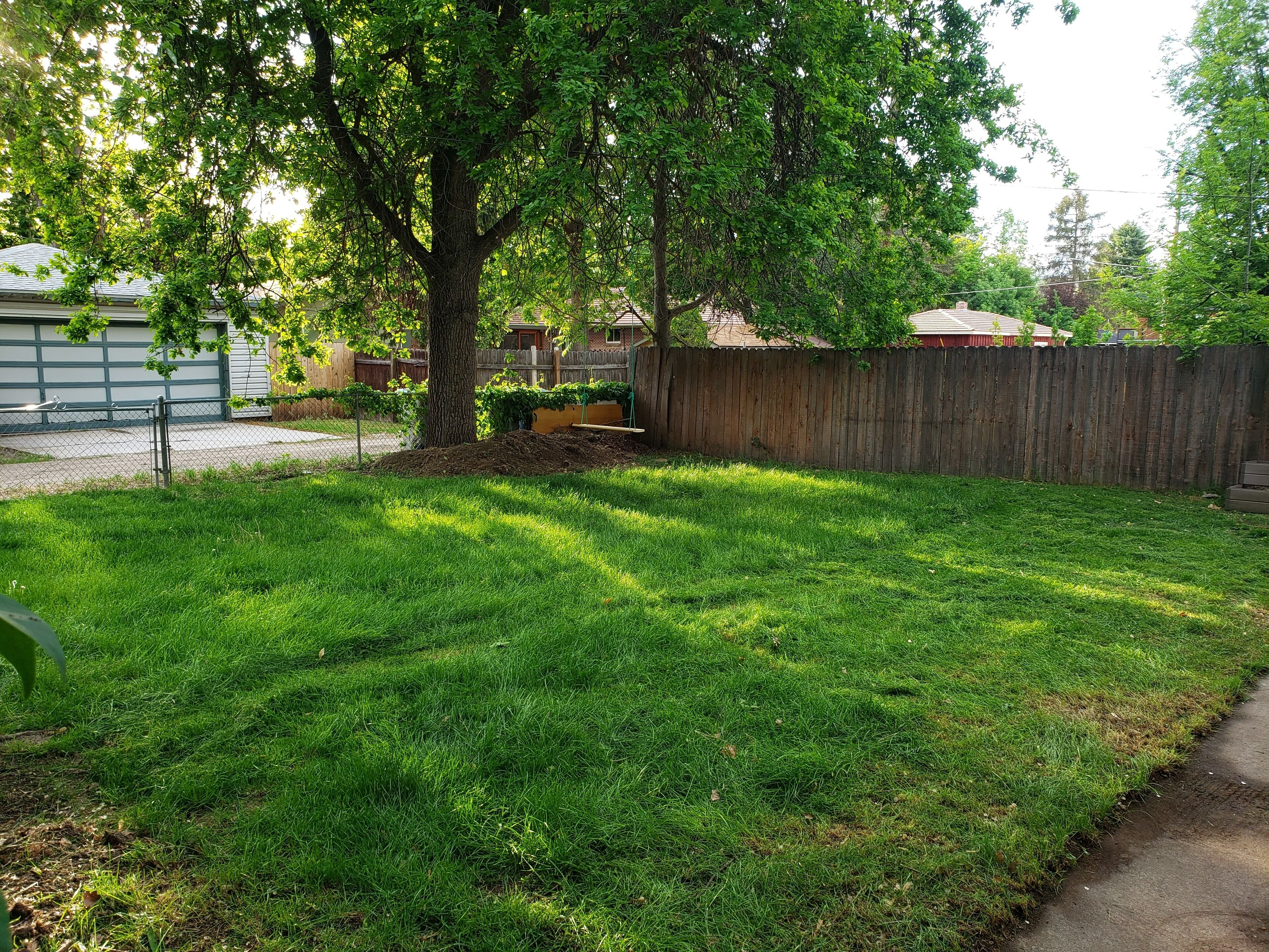 A well-maintained grassy yard with a wooden fence, a tree, and a house in the background.