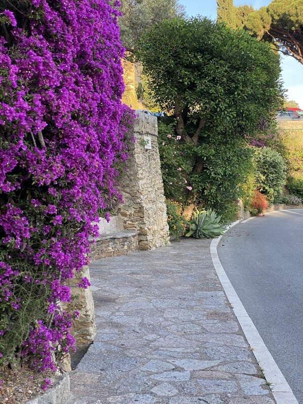 Property grounds - Villa - large terraces - Views of the Sea and the Hills of Cap Benat (Bormes les Mimosas)