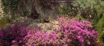 Villa - large terraces - Views of the Sea and the Hills of Cap Benat