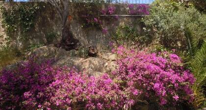 Villa - large terraces - Views of the Sea and the Hills of Cap Benat