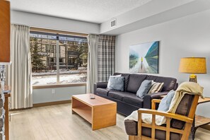 Télévision, cheminée, lecteur de DVD