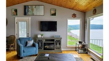 Smart TV, fireplace, books