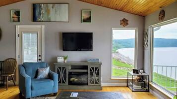 Smart TV, fireplace, books