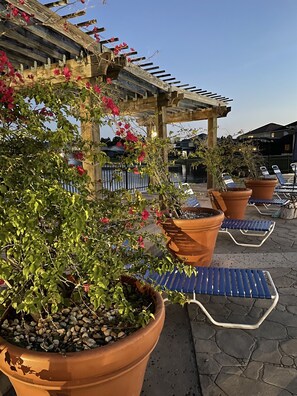 Terraço/pátio