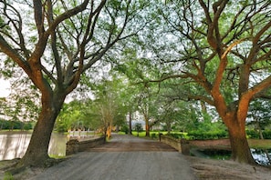 Property grounds