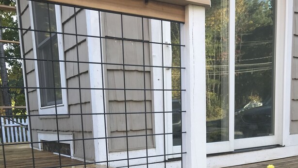 Una terraza de madera con barandilla metálica, una maceta con una flor amarilla y un muro de piedra.