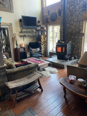 Fireplace, books, music library, stereo