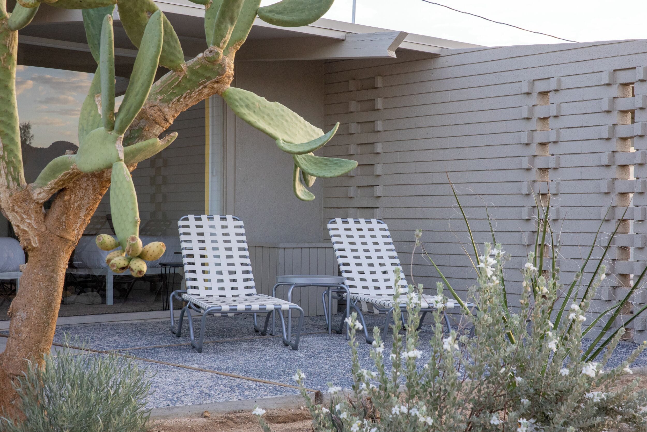 A patio area with two metal chairs, a cactus, and a textured wall.