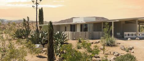 A desert-style house with a covered patio, surrounded by cacti and desert plants.