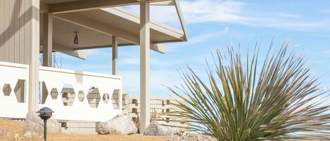 A modern building with a covered patio area, large rocks, and a yucca plant.