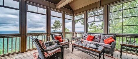 Televisión, chimenea y reproductor de DVD