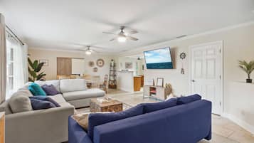 Smart TV, books, computer monitors