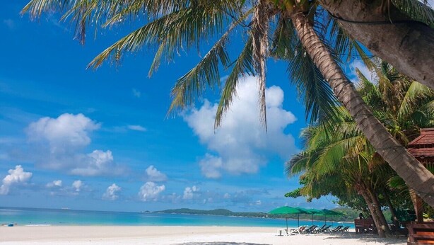 A beach with white sand, palm trees, and a clear blue sky. - Guyana Saikaew (Rayong)