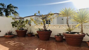 A courtyard with potted plants and a tiled floor. - WIFI+and next to the beach and in the centre (Costa Calma (incl. Urbanización Cañada del Río))