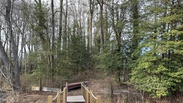 A wooden bridge over a calm body of water, surrounded by dense forest. - View Peaceful Pond while lounging in this open studio apartment! (Warsaw)